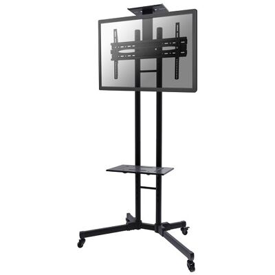 Suporte de Chão p/Ecrãs planos (55") Preto - NEWSTAR Suporte de Chão p/Ecrãs planos (55") Preto - NEWSTAR