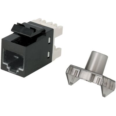 NIMO Conector Keystone RJ45 CAT6 UTP Fêmea p/ Painel NIMO Conector Keystone RJ45 CAT6 UTP Fêmea p/ Painel