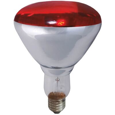 GSC E27 Lâmpada Infravermelha - 250W Luz de Calor GSC E27 Lâmpada Infravermelha - 250W Luz de Calor