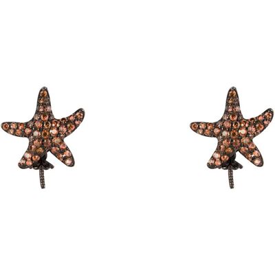 Pingente JLA-EAR-STAR4 - LANCASTER Pingente JLA-EAR-STAR4 - LANCASTER