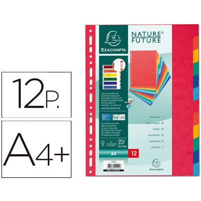 Separador Exacompta Cartolina Conjunto de 12 Separadores de Cores A4+ Multiperfurado Separador Exacompta Cartolina Conjunto de 12 Separadores de Cores A4+ Multiperfurado
