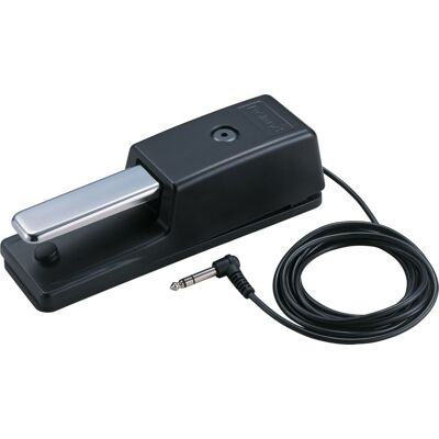 Roland DP-10 PRO Pedal Sustain/Footswitch Universal TOP-SELLER Roland DP-10 PRO Pedal Sustain/Footswitch Universal TOP-SELLER