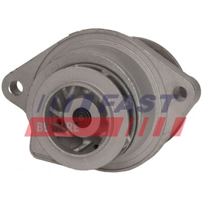 Bomba de água, arrefecimento do motor FAST FT04477 Bomba de água, arrefecimento do motor FAST FT04477