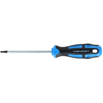 Chave de fendas Torx ENERGY NE01313 Chave de fendas Torx ENERGY NE01313