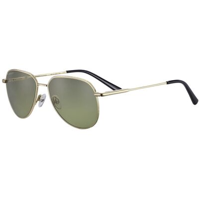 Óculos de sol Serengeti HAYWOOD SMALL SS544003 Dourados Tamanho: 55X15 Dourados Óculos de sol Serengeti HAYWOOD SMALL SS544003 Dourados Tamanho: 55X15 Dourados