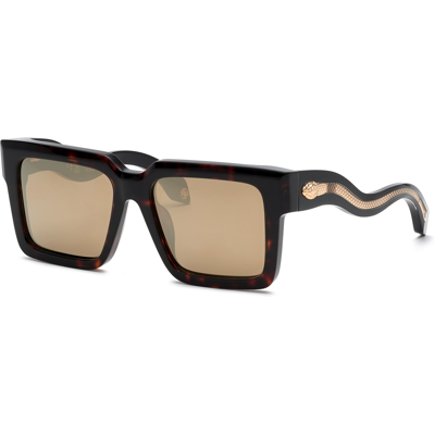 Óculos de sol Roberto Cavalli SRC055 Castanho Tamanho: 55X17 Castanho Óculos de sol Roberto Cavalli SRC055 Castanho Tamanho: 55X17 Castanho