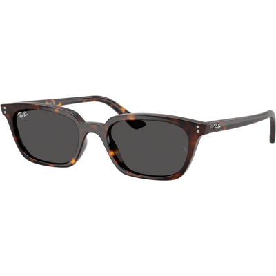 Rayban Óculos de sol Ray Ban ZAYA 0RB4456 Castanho Tamanho: 53X19 Castanho Rayban Óculos de sol Ray Ban ZAYA 0RB4456 Castanho Tamanho: 53X19 Castanho