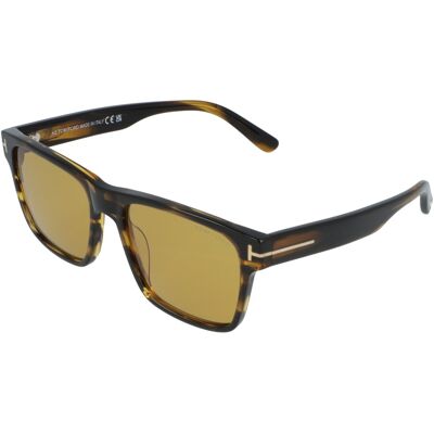 Óculos de sol Tom Ford CALDER FT1205 Castanho Tamanho: 55X17 Castanho Óculos de sol Tom Ford CALDER FT1205 Castanho Tamanho: 55X17 Castanho