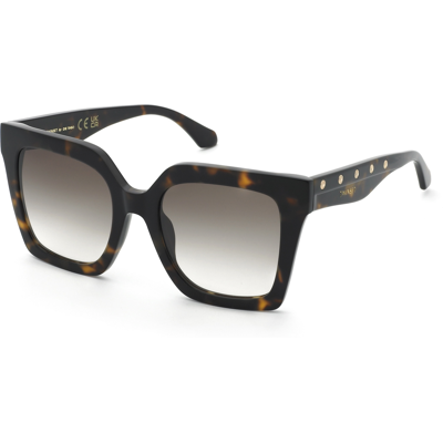 Óculos de sol Twinset STW105 Castanho Tamanho: 53X21 Castanho Óculos de sol Twinset STW105 Castanho Tamanho: 53X21 Castanho