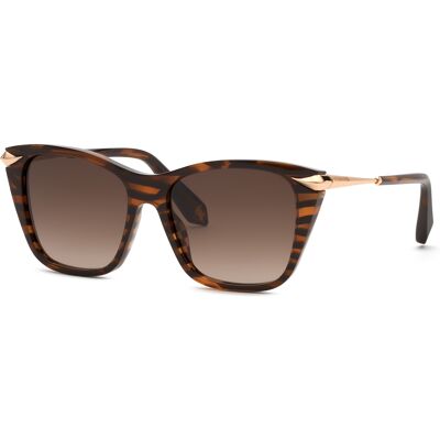 Óculos de sol Roberto Cavalli SRC150 Castanho Tamanho: 55X16 Castanho Óculos de sol Roberto Cavalli SRC150 Castanho Tamanho: 55X16 Castanho