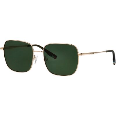 Óculos de sol Tom Tailor 675003 Dourados Tamanho: 54X17 Dourados Óculos de sol Tom Tailor 675003 Dourados Tamanho: 54X17 Dourados