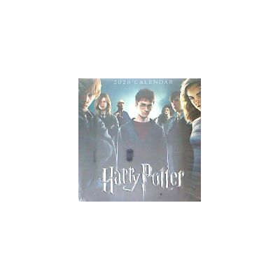 Grupo Erik Calendario 2020: Harry Potter Grupo Erik Calendario 2020: Harry Potter