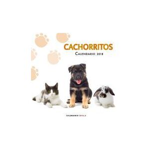 Libros Cúpula Calendario Cachorritos 2018 Libros Cúpula Calendario Cachorritos 2018