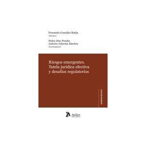 ATELIER Riesgos Emergentes Tutela Juridica Efectiva Y Desafios Regulatorios ATELIER Riesgos Emergentes Tutela Juridica Efectiva Y Desafios Regulatorios