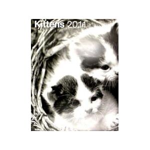 teNeues Kittens 2011 teNeues Kittens 2011