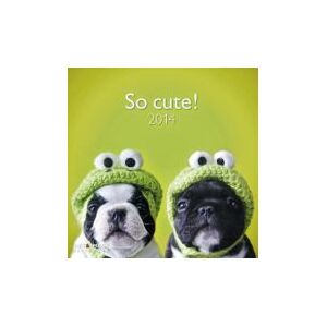 Teneues Calendario De Pared 2014: So Cute Teneues Calendario De Pared 2014: So Cute