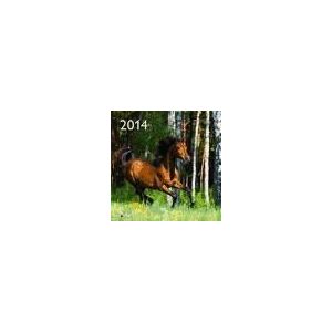 teNeues Calendario De Pared 2014: Horses teNeues Calendario De Pared 2014: Horses
