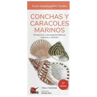Conchas Y Caracoles Marinos - Guias Desplegables Tundra Conchas Y Caracoles Marinos - Guias Desplegables Tundra