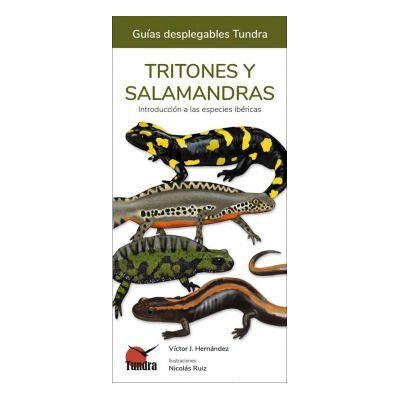 TUNDRA Tritones Y Salamandras TUNDRA Tritones Y Salamandras