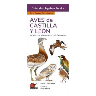 Aves De Castilla Y Leon. Guias Desplegables Tundra Aves De Castilla Y Leon. Guias Desplegables Tundra
