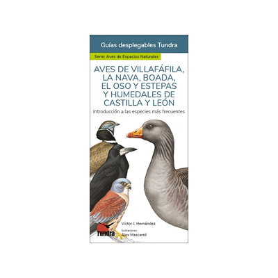 Tundra Aves De Villafafila,la Nva, Boada,el Oso Y Estepas Tundra Aves De Villafafila,la Nva, Boada,el Oso Y Estepas