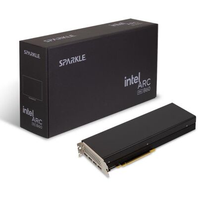 Placa gráfica Sparkle Intel Arc Pro B60 24GB GDDR6 Passive Placa gráfica Sparkle Intel Arc Pro B60 24GB GDDR6 Passive