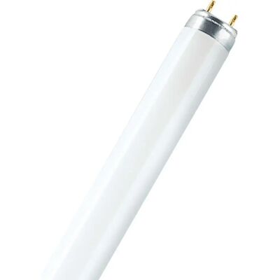 Osram 517933 - Lâmpada fluorescente linear T8 150cm 58W/865 6500K (branco frio) Osram 517933 - Lâmpada fluorescente linear T8 150cm 58W/865 6500K (branco frio)
