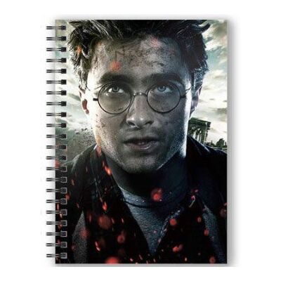 SD TOYS Cuaderno A5 3D Harry Potter SD TOYS Cuaderno A5 3D Harry Potter