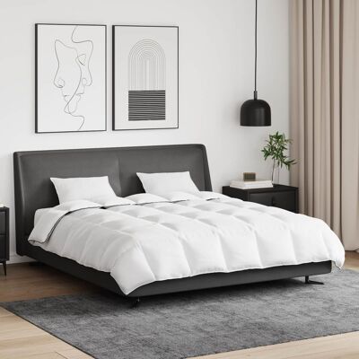 vidaXL Edredom de Inverno com travesseiro 3 pcs Branco Pena de ganso Blanco vidaXL Edredom de Inverno com travesseiro 3 pcs Branco Pena de ganso Blanco