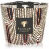 Baobab Maxi Wax Panya vela perfumada 10 cm. Maxi Wax Panya