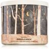 Bath & Body Works Vanilla Birch vela perfumada I. 411 g. Vanilla Birch
