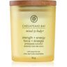 Chesapeake Bay Candle Mind & Body Strength & Energy vela perfumada 96 g. Mind & Body Strength & Energy