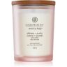 Chesapeake Bay Candle Mind & Body Stillness & Purity vela perfumada 250 g. Mind & Body Stillness & Purity