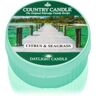 Country Candle Citrus & Seagrass vela do chá 42 g. Citrus & Seagrass