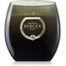 Maison Berger Paris Holly Amber Powder vela perfumada 200 g. Holly Amber Powder