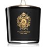 Tiziana Terenzi Capri Fig vela perfumada com pavio de madeira 500 g. Capri Fig