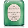 Paddywax Vista Cactus Flower & Aloe vela perfumada 142 g. Vista Cactus Flower & Aloe