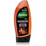 Radox Men Invigorating gel de banho para homens 3 em 1 225 ml. Men Invigorating