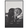 Beliani Tela emoldurada em cinzento 63 x 93 cm impressão de elefante decoração de parede para sala de estar quarto moderna