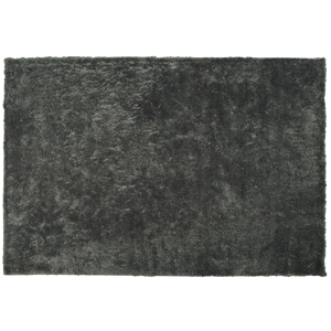 Tapete cinzento escuro mistura de poliéster e algodão 200 x 300 cm pelo denso estilo moderno