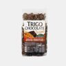 SALUTEM TRIGO CHOCOLATE CROCANTE 250g