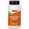 NOW BOSWELLIA EXTRACT 250mg 60 CAPSULAS