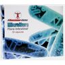 HAUSMANN BIOTEC MICROFLORA FLORA INTESTINAL 30 CAPSULAS