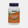 NOW ASTRAGALUS EXTRACT 500mg 90 CAPSULAS