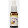 APOIO EMOCIONAL FLORAIS SAINT GERMAIN 10ml