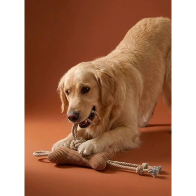 VERTBAUDET Lote de brinquedos para cão avelã VERTBAUDET Lote de brinquedos para cão avelã