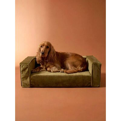 VERTBAUDET Sofá em veludo, para cão médio bronze VERTBAUDET Sofá em veludo, para cão médio bronze