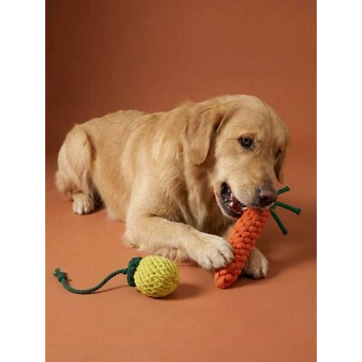 VERTBAUDET Lote de 2 brinquedos de corda para cão, frutas amarelo VERTBAUDET Lote de 2 brinquedos de corda para cão, frutas amarelo