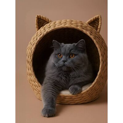 VERTBAUDET Cesto em jacinto de água Family, para gato bege VERTBAUDET Cesto em jacinto de água Family, para gato bege