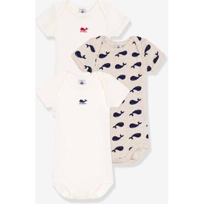 Lote de 3 bodies de mangas curtas, estampado com baleias, da PETIT BATEAU branco Lote de 3 bodies de mangas curtas, estampado com baleias, da PETIT BATEAU branco